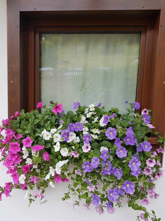 Debra Park Hotel Моена Екстериор снимка